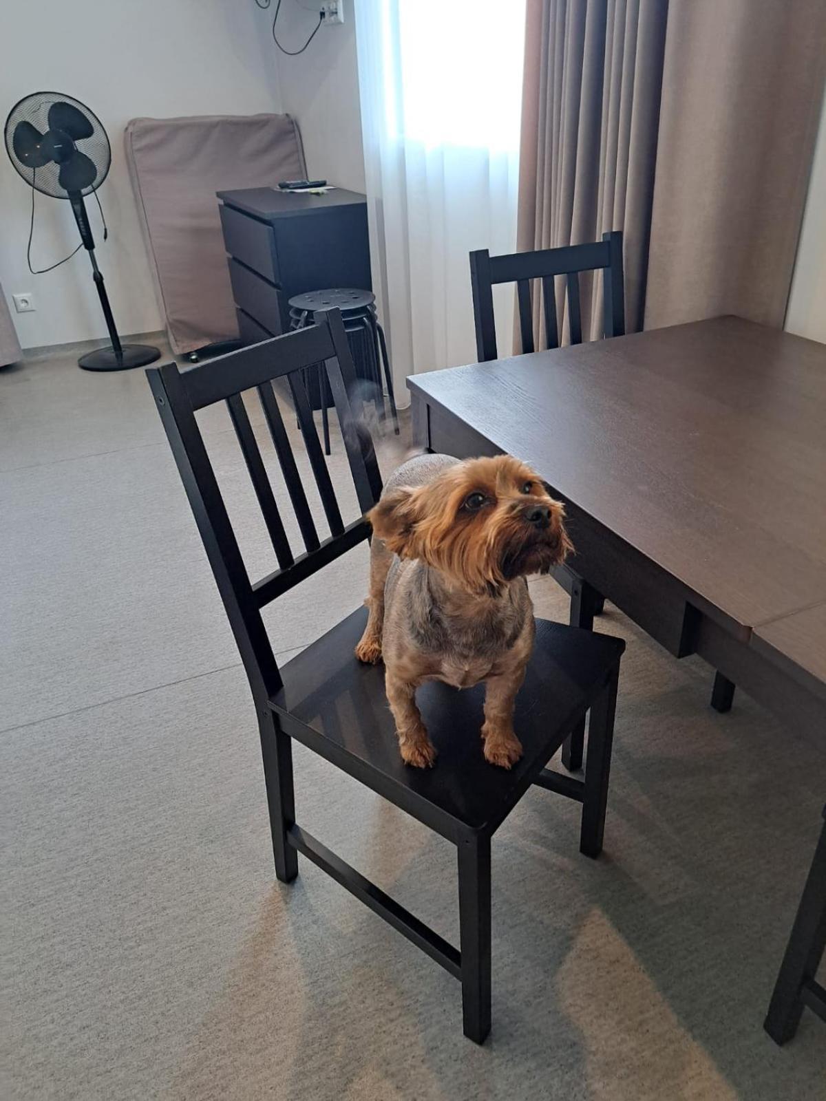Jaunamuiza Apartamenti Valmiera Luaran gambar