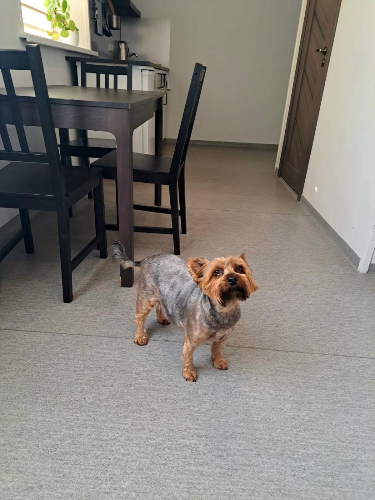 Jaunamuiza Apartamenti Valmiera Luaran gambar