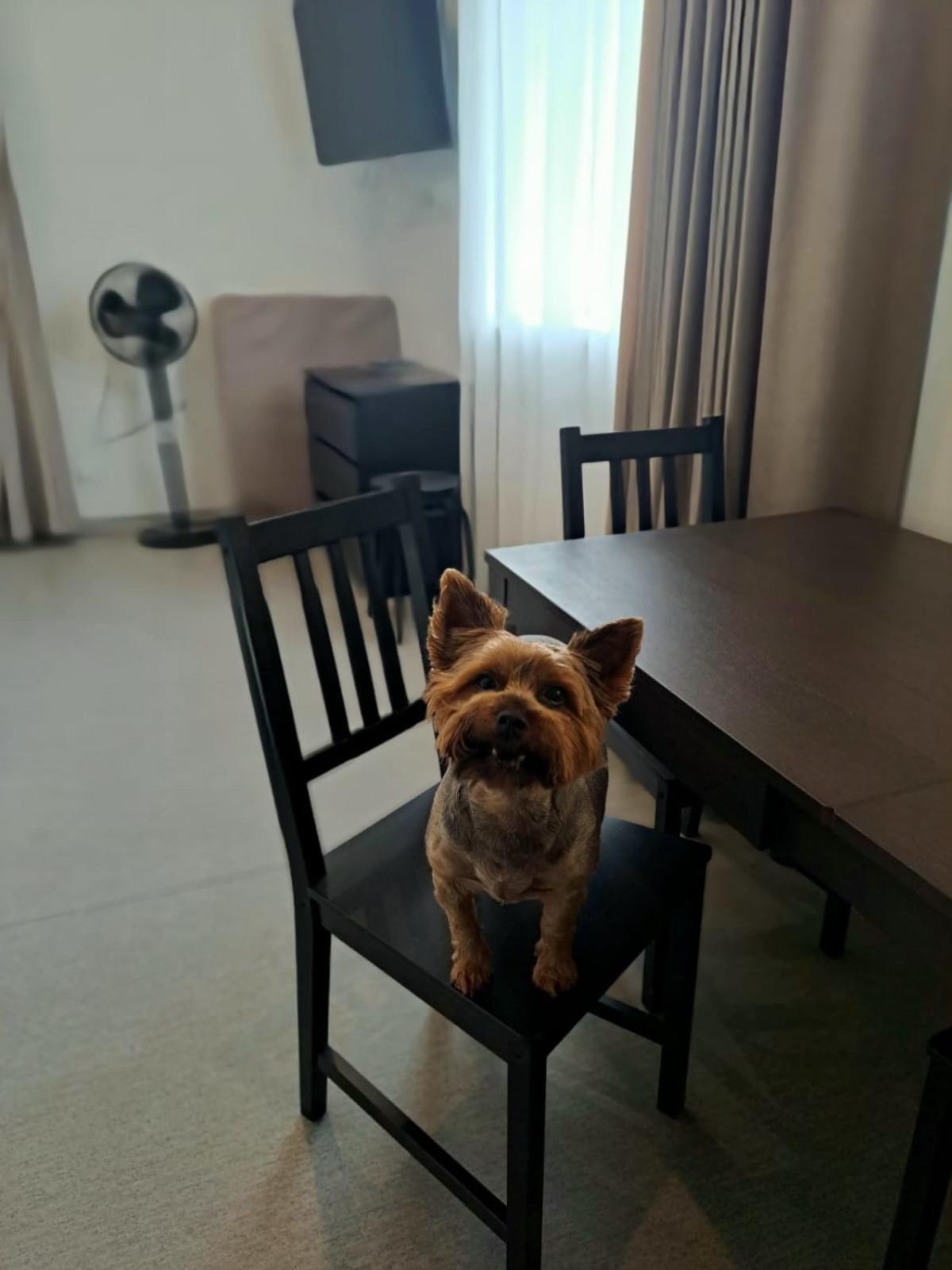 Jaunamuiza Apartamenti Valmiera Luaran gambar